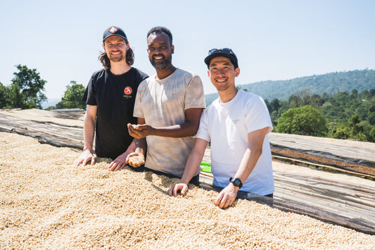 Blog Post - Ethiopia Origin Trip 2025