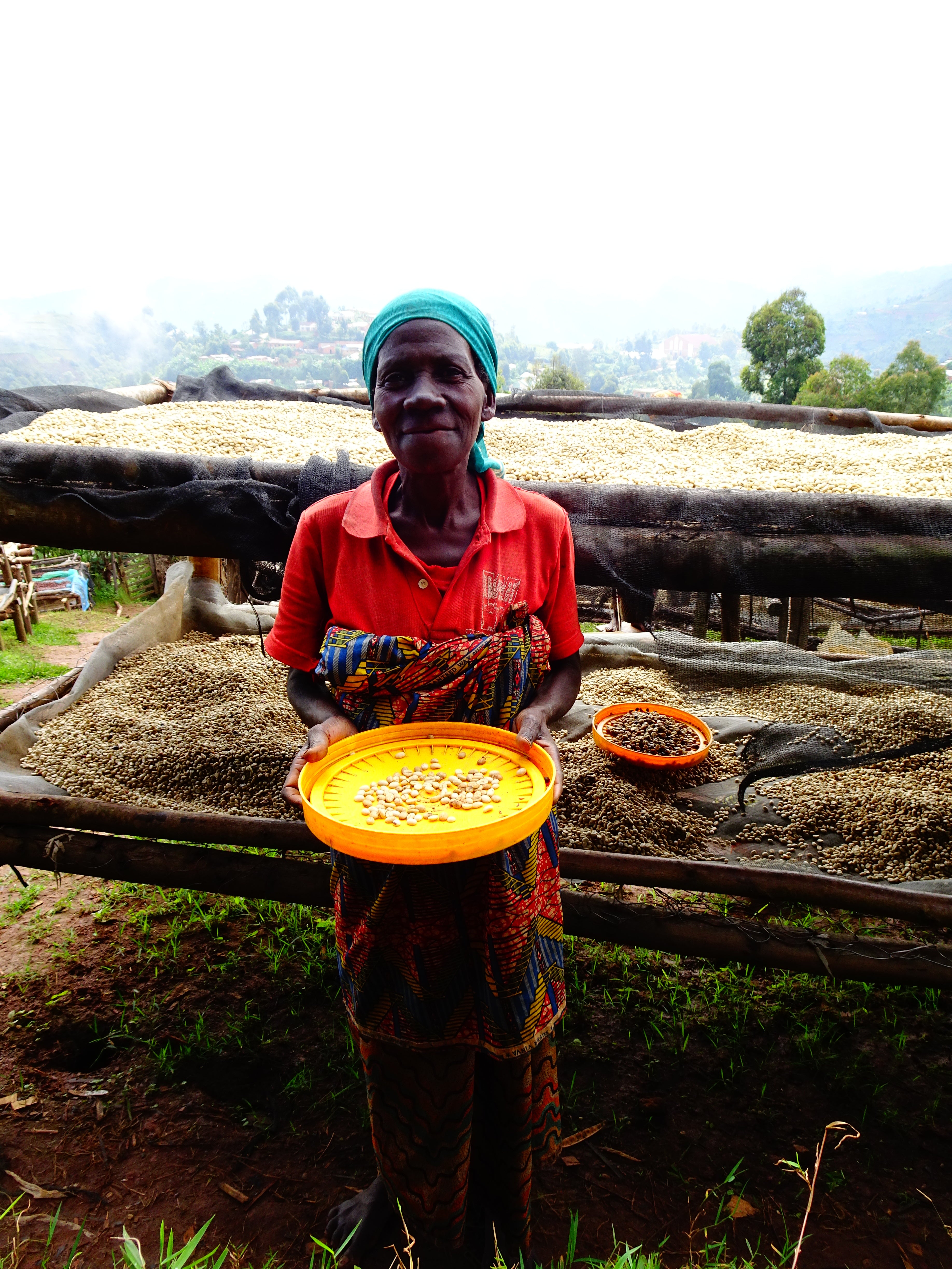 Mutambu Hill / Washed / Burundi / 250g