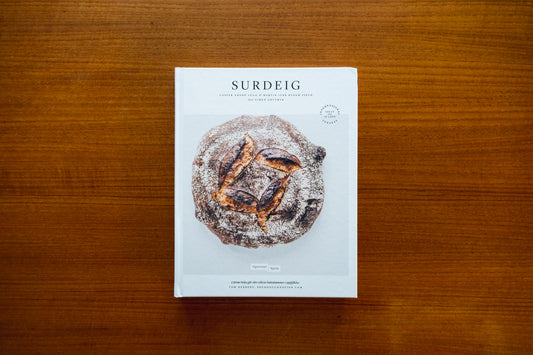 Surdeig by Martin Ivar Hveem Fjeld, Casper Andre Lugg