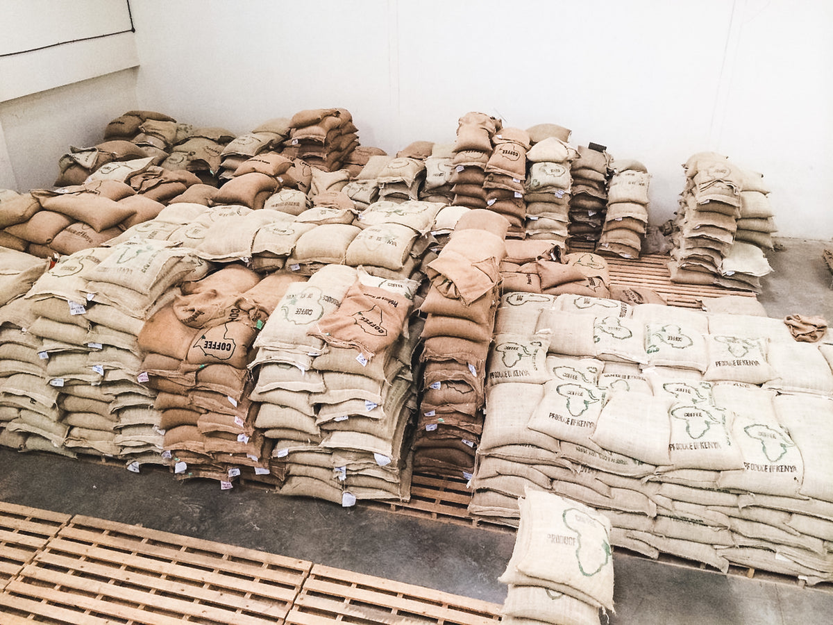 Kii / Washed / Kenya / 250g
